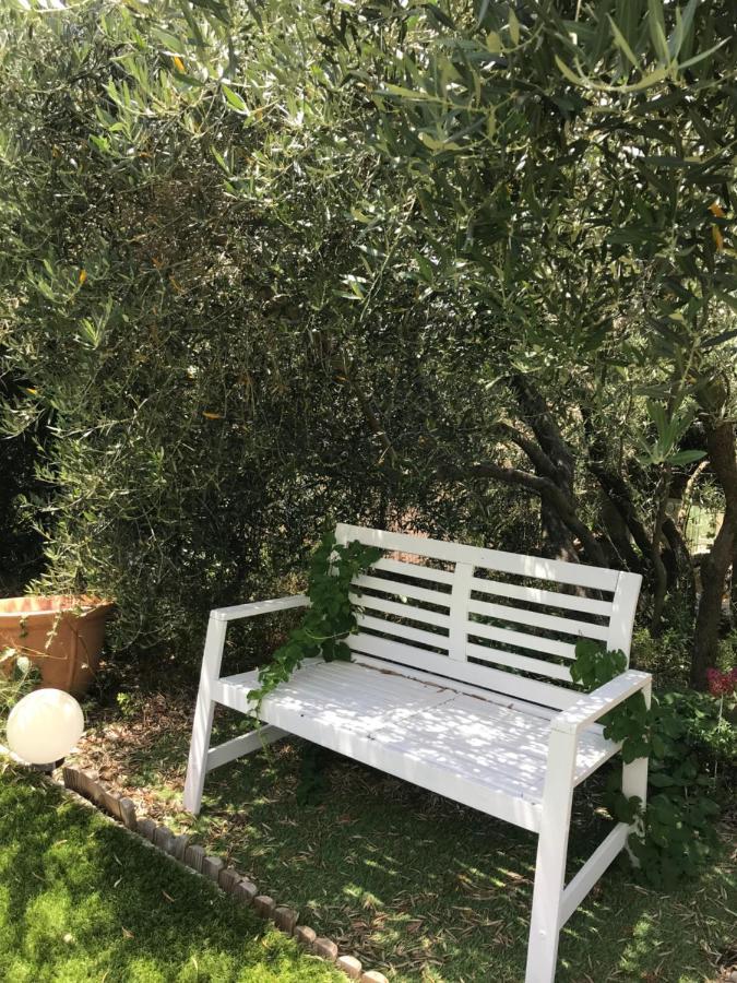 Chambre D Hotes Au Coeur Des Oliviers Marseille Eksteriør bilde