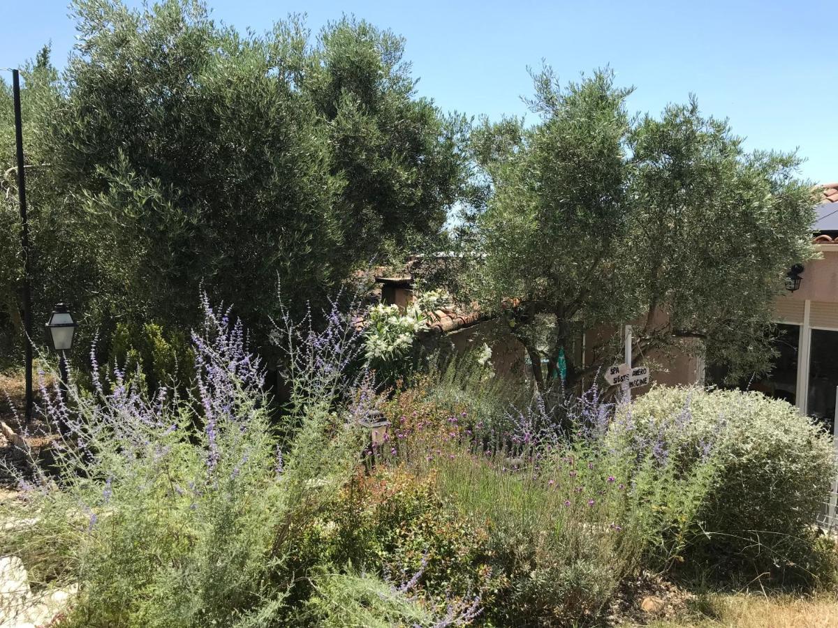 Chambre D Hotes Au Coeur Des Oliviers Marseille Eksteriør bilde
